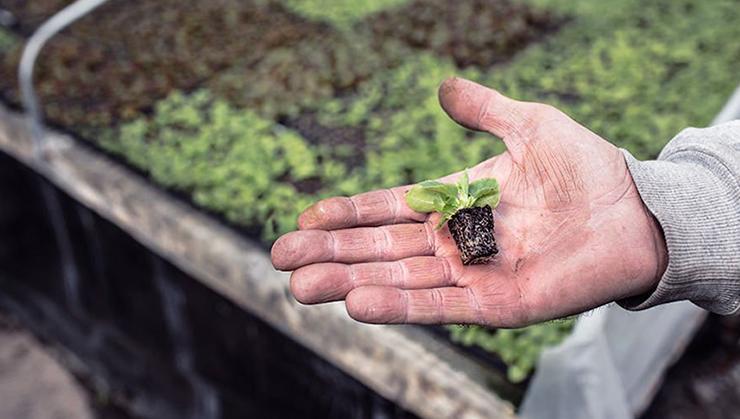 Joomla is not suitable for large companies